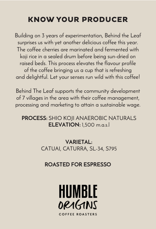 BTL Shio Koji Anaerobic Naturals | Espresso