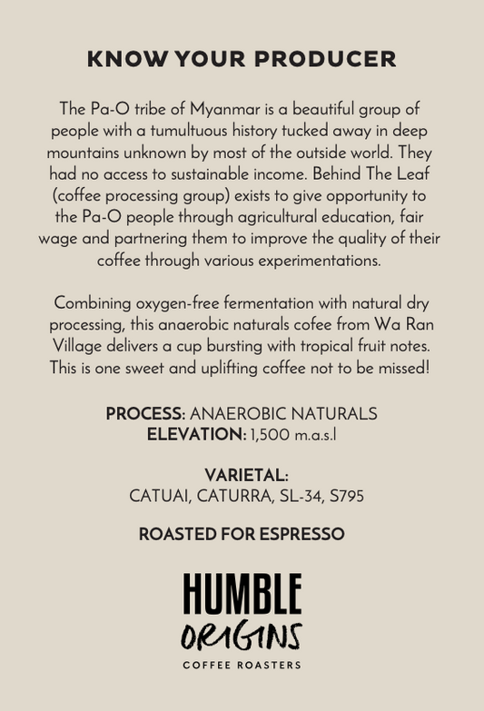 Wa Ran Village Anaerobic Naturals Microlot | Espresso