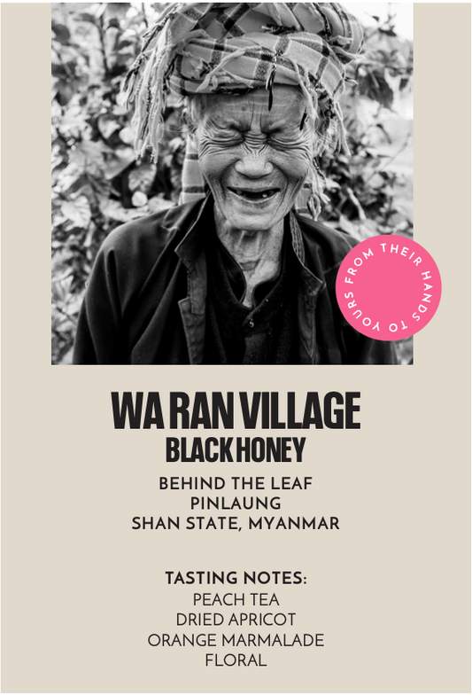 Wa Ran Village Black Honey Microlot | Filter