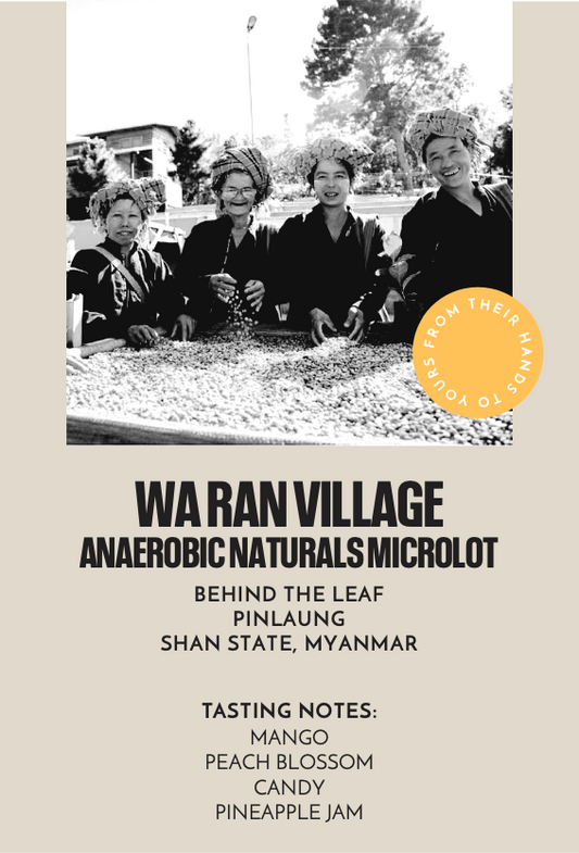 Wa Ran Village Anaerobic Naturals Microlot | Filter