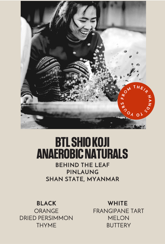 BTL Shio Koji Anaerobic Naturals | Espresso