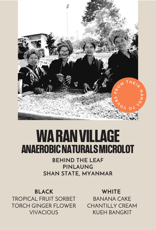 Wa Ran Village Anaerobic Naturals Microlot | Espresso