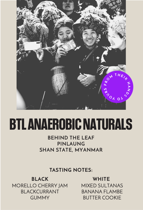 BTL Anaerobic Naturals | Espresso