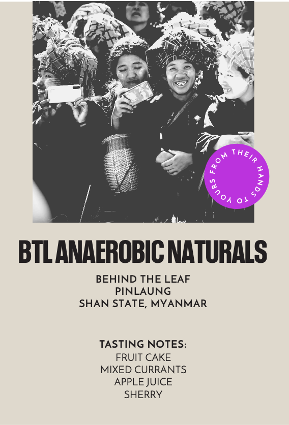 BTL Anaerobic Naturals | Filter