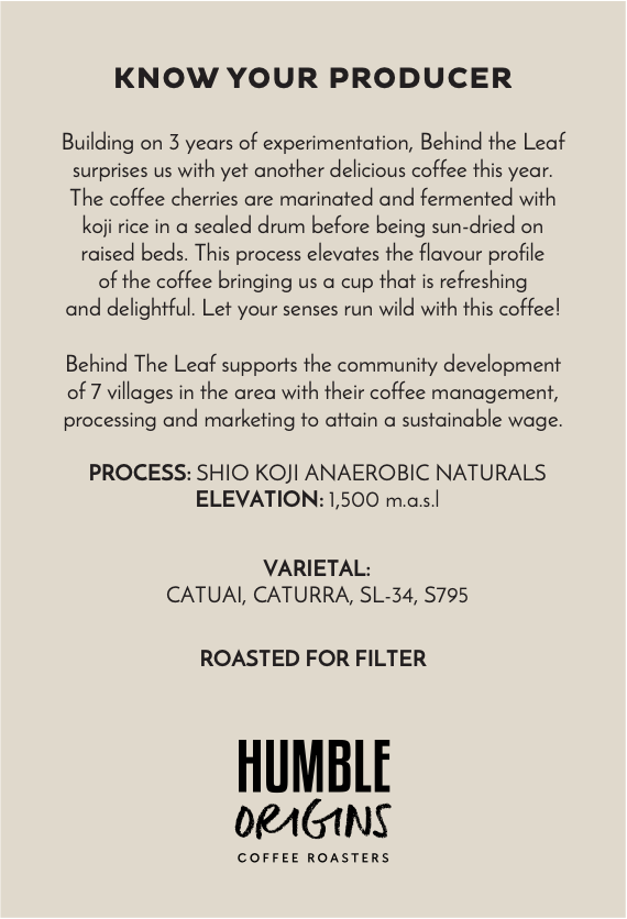BTL Shio Koji Anaerobic Naturals | Filter