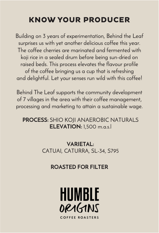 BTL Shio Koji Anaerobic Naturals | Filter