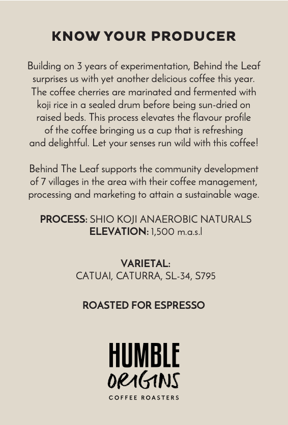 BTL Shio Koji Anaerobic Naturals | Espresso