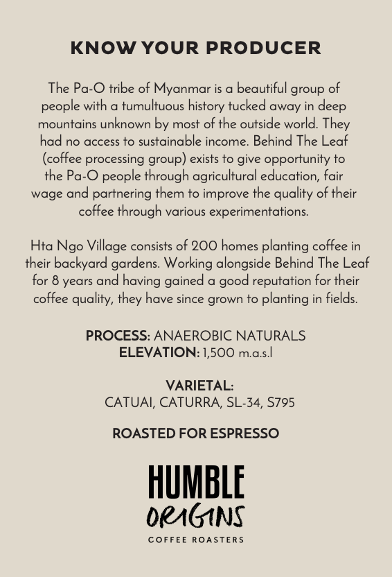 Hta Ngo Village Anaerobic Naturals Microlot | Espresso