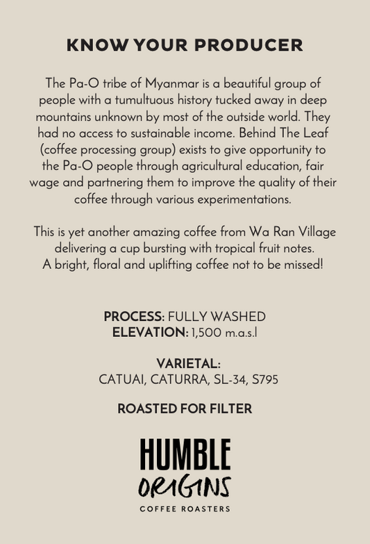 Wa Ran Village Fully Washed Microlot | Filter