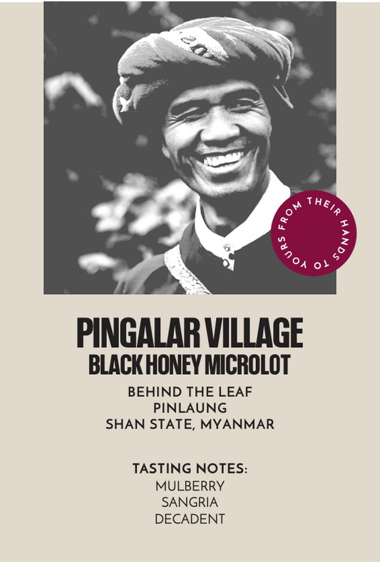 Pingalar Village Black Honey Microlot | Filter