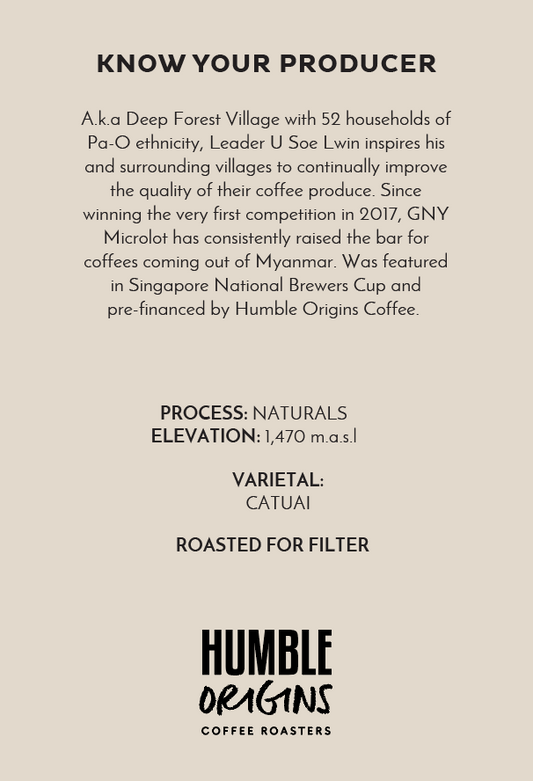 Ga Naing Yar Village Naturals Microlot | Filter
