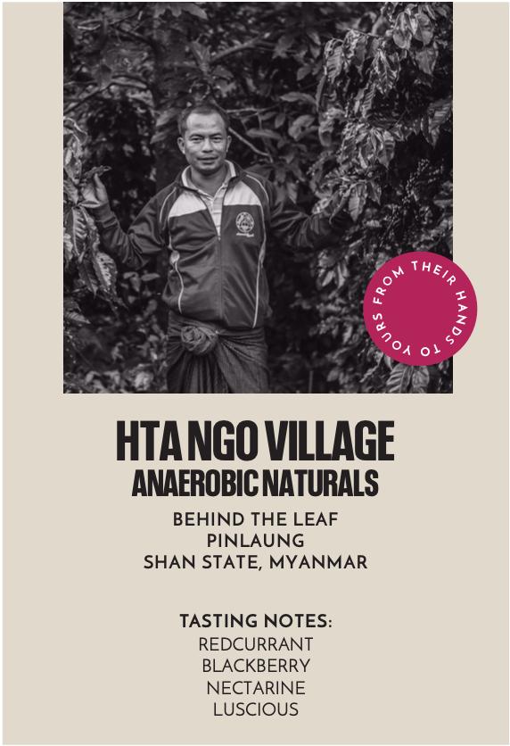 Hta Ngo Village Anaerobic Naturals Microlot | Filter