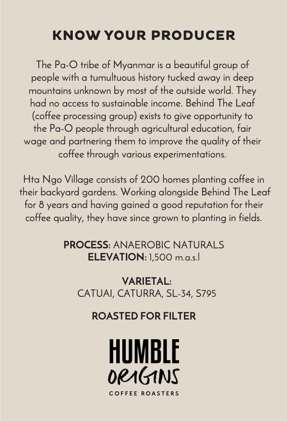 Hta Ngo Village Anaerobic Naturals Microlot | Filter