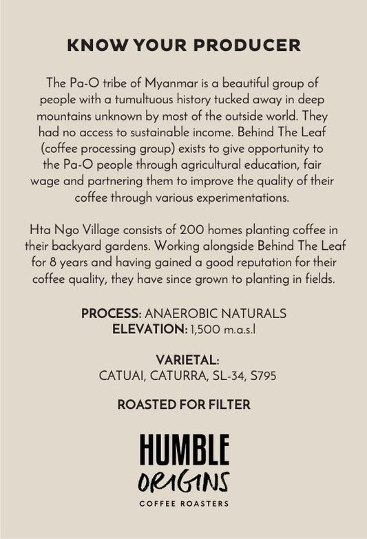 Hta Ngo Village Anaerobic Naturals Microlot | Filter